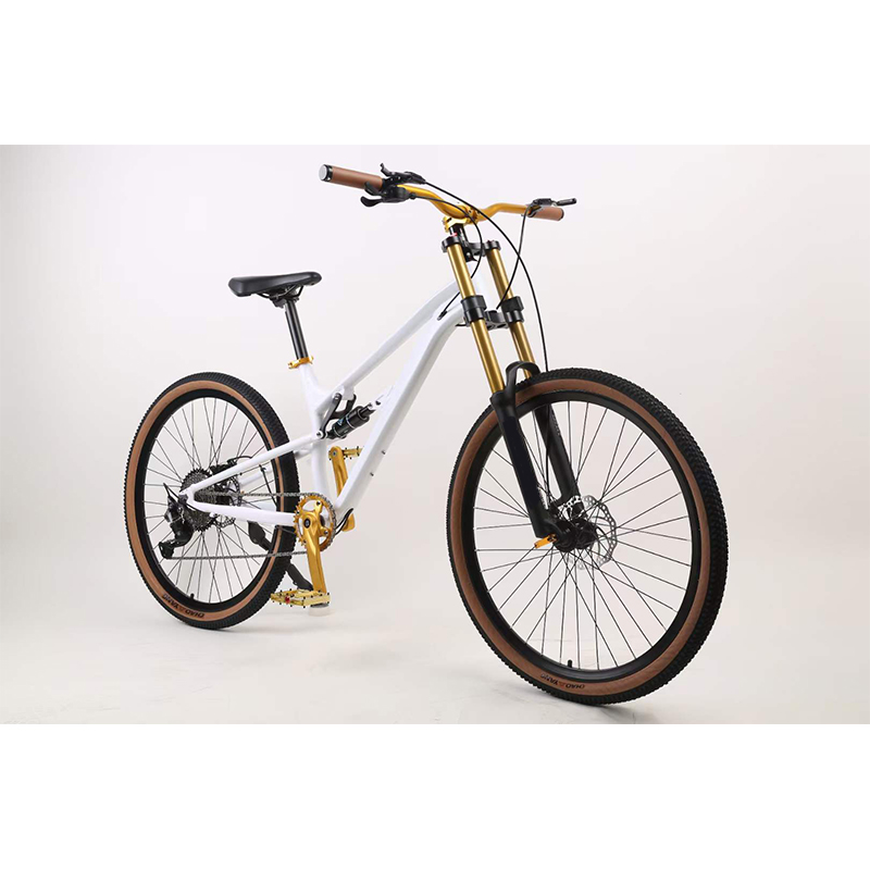 Bicicleta de Montanha com Susp - Mountain Biking Downhill avaliação e preço